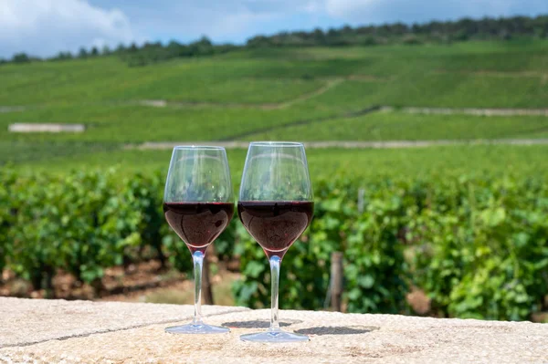 Tasting of burgundy red wine from grand cru pinot noir  vineyards, two glasses of wine and view on green vineyards in Burgundy Cote de Nuits wine region, France in summer