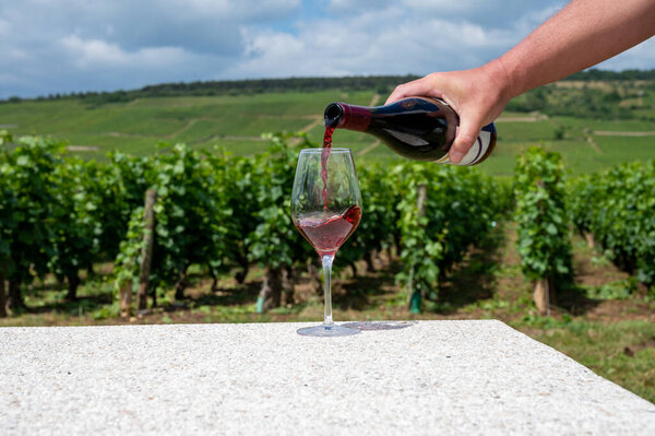Сомелье или официант наливает бордовое красное вино из виноградников Grand Cru pinot noir, бокал вина и вид на зеленые виноградники в Бургундии Кот-де-Нуитс винный регион, Франция летом