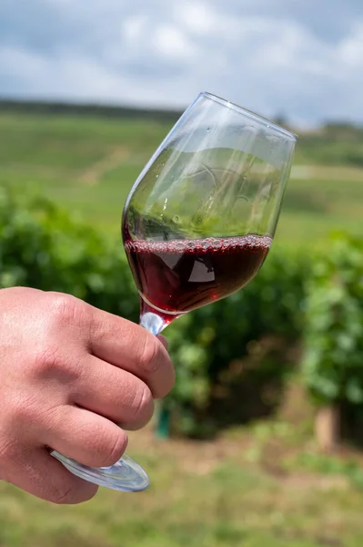 Provning Bourgogne Rött Vin Från Grand Cru Pinot Noir Vingårdar — Stockfoto