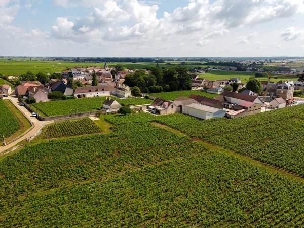 Blick Aus Der Luft Auf Grüne Grand Cru Und Premier — Stockfoto