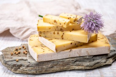 Peynir koleksiyonu, olgun sarı inek peyniri ve Belçika 'dan hardal tohumları.