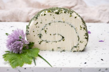 Peynir koleksiyonu, taze beyaz keçi peyniri Fransız peyniri, aromatik otlar ve pirzolalar.