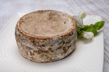 Peynir koleksiyonu, olgun inek peyniri, Fransa 'dan gelen mantarlı tommette de savoie, Alp dağlarında yapılan peynir.