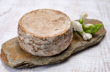 Peynir koleksiyonu, olgun inek peyniri, Fransa 'dan gelen mantarlı tommette de savoie, Alp dağlarında yapılan peynir.