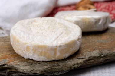 Peynir koleksiyonu, taze, yumuşak inek peyniri, İsviçre küflü, yakın plan.