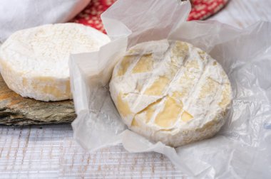 Peynir koleksiyonu, taze, yumuşak inek peyniri, İsviçre küflü, yakın plan.