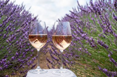 Fransız Provence 'de yaz mevsimi, Cotes de Provence' den soğuk gris gül şarabı ve Valensole platosundaki renkli lavanta tarlaları, Provence, Fransa 'nın tat ve aromaları.