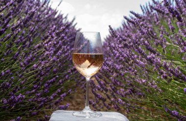 Fransız Provence 'de yaz mevsimi, Cotes de Provence' den soğuk gris gül şarabı ve Valensole platosundaki renkli lavanta tarlaları, Provence, Fransa 'nın tat ve aromaları.