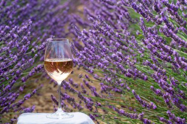 Fransız Provence 'de yaz mevsimi, Cotes de Provence' den soğuk gris gül şarabı ve Valensole platosundaki renkli lavanta tarlaları, Provence, Fransa 'nın tat ve aromaları.