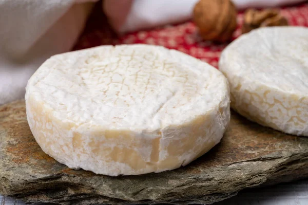 Coleção Queijo Queijo Vaca Macia Branco Fresco Com Molde Suíça — Fotografia de Stock