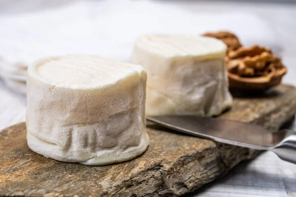 Käse Kollektion Französischer Weichkäse Mit Schimmelpilz Crottin Chavignol Hergestellt Loire — Stockfoto