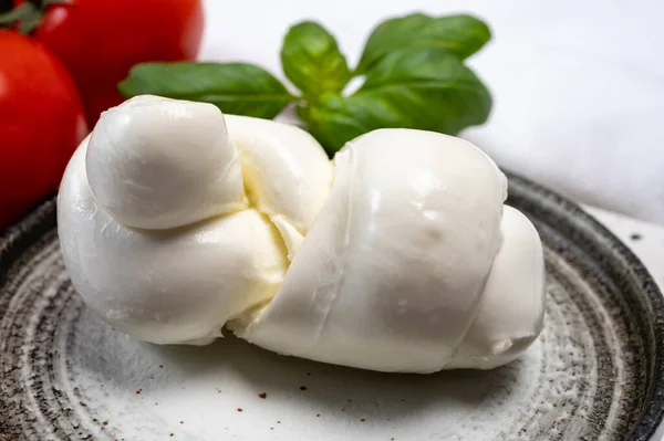 Jižní Italský Měkký Bílý Sýr Mozzarella Vyrobený Buvolího Kravského Mléka — Stock fotografie