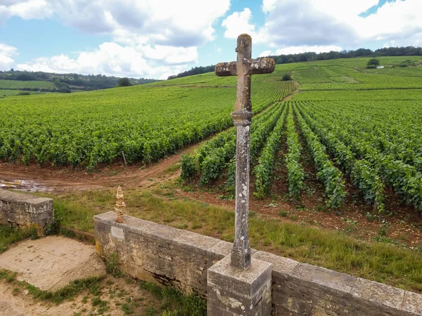 Fransa 'nın doğusundaki Burgundy bölgesinde kırmızı ve beyaz Burgundy şarabı üreten, Cote de nuits' teki Pinot noir üzüm bitkilerinin bulunduğu duvarlı yeşil büyük cru ve başlıca cru üzüm bağlarına Aerian manzarası.