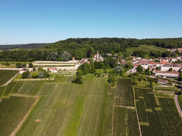 Luftaufnahme Grüner Weinberge Der Champagne Der Nähe Von Epernay Frankreich — Stockfoto