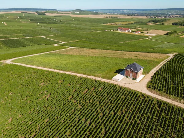 法国Epernay附近香槟地区绿色葡萄园的空中景观 夏天白葡萄酒葡萄生长在粉笔土地上 — 图库照片