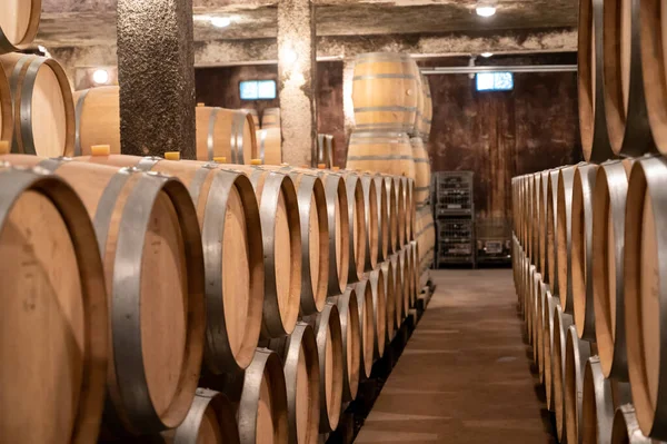 Jarenlang Droge Rode Wijn Bewaren Nieuwe Eiken Vaten Grotten Bourgogne — Stockfoto