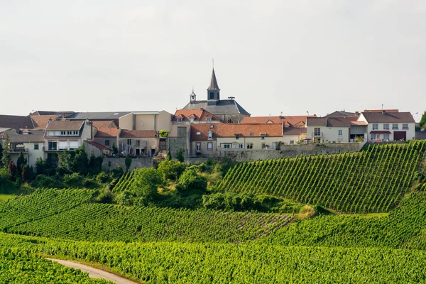 Widok Zielone Winnice Regionie Szampana Pobliżu Wsi Cramant Francja Białe — Zdjęcie stockowe