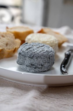 Peynir koleksiyonu, Fransız keçi peyniri crottin Fransız ekmeğiyle servis edilen ve eski Fransız sokağı ve evleri olan arka plan.