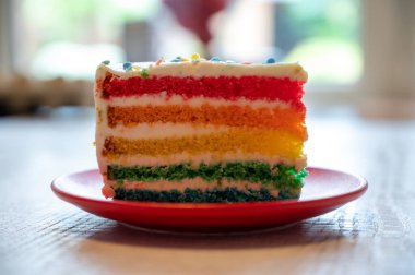 Bir parça taze fırınlanmış renkli doğum günü pastası.