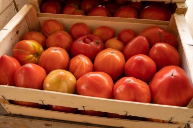 Yaz mevsiminde Provence 'deki çiftçi pazarında ahşap kutularda lezzetli, olgun Fransız domatesleri.