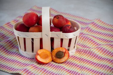 Fransa 'nın Provence şehrinde taze taze olgun kırmızı kayısılar hasat edildi.