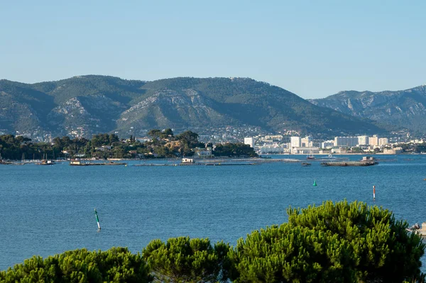 Uitzicht Toulon Haven Zonnige Zomerdag Var Frankrijk — Stockfoto