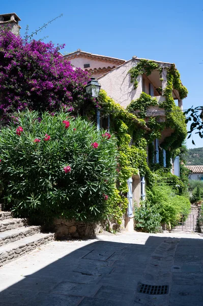 Kleurrijke Bloesem Van Zomerbloemen Het Oude Franse Dorp Grimaud Toeristische — Stockfoto