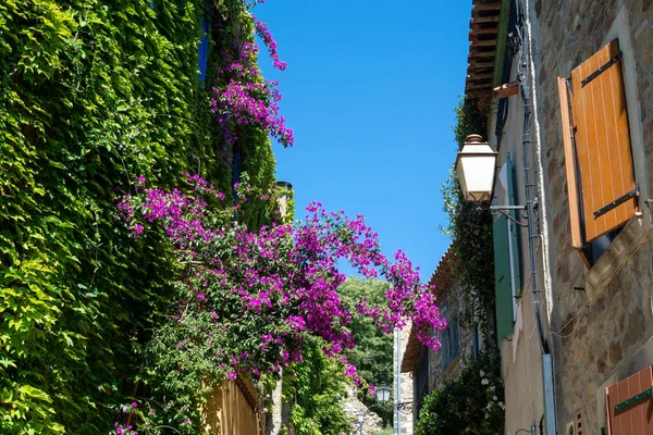 Wandelen Zonnige Dag Het Oude Franse Dorp Grimaud Toeristische Bestemming — Stockfoto