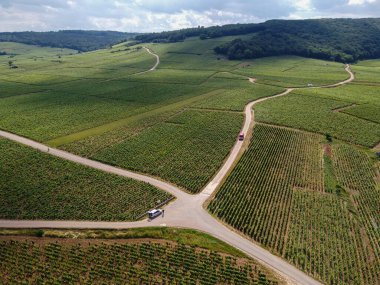 Yeşil Grand Cru ve Fransa 'nın Burgundy bölgesinde kırmızı ve beyaz Burgundy şarabı üreten Cote de nuits' deki Pinot noir üzüm bitkilerinin olduğu başlıca cru üzüm bağlarının Aerian görüntüsü.