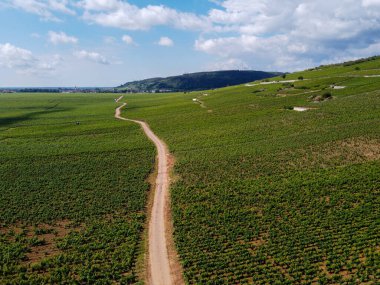 Yeşil Grand Cru ve Fransa 'nın Burgundy bölgesinde kırmızı ve beyaz Burgundy şarabı üreten Cote de nuits' deki Pinot noir üzüm bitkilerinin olduğu başlıca cru üzüm bağlarının Aerian görüntüsü.