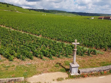 Fransa 'nın doğusundaki Burgundy bölgesinde kırmızı ve beyaz Burgundy şarabı üreten, Cote de nuits' teki Pinot noir üzüm bitkilerinin bulunduğu duvarlı yeşil büyük cru ve başlıca cru üzüm bağlarına Aerian manzarası.