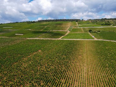 Yeşil Grand Cru ve Fransa 'nın Burgundy bölgesinde kırmızı ve beyaz Burgundy şarabı üreten Cote de nuits' deki Pinot noir üzüm bitkilerinin olduğu başlıca cru üzüm bağlarının Aerian görüntüsü.
