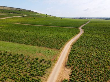 Yeşil Grand Cru ve Fransa 'nın Burgundy bölgesinde kırmızı ve beyaz Burgundy şarabı üreten Cote de nuits' deki Pinot noir üzüm bitkilerinin olduğu başlıca cru üzüm bağlarının Aerian görüntüsü.