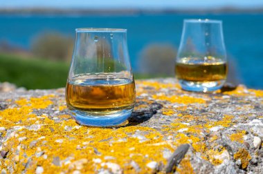 Tek malt viski ve karışık viski tadı mavi deniz, okyanus ya da nehir manzaralı, İskoçya, İngiltere 'de özel viski turları