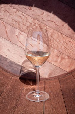 Hollanda 'da şarap üretimi, yakın plan beyaz şarap tatma bardağı.