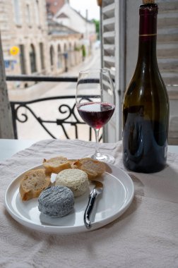 Burgundy Cote de Nuit şarap bölgesinde Fransız keçi peyniri ve manzaralı Grand Cru pinot noir üzüm bağlarından şarap tadıyoruz.