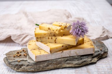 Peynir koleksiyonu, olgun sarı inek peyniri ve Belçika 'dan hardal tohumları.