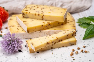 Peynir koleksiyonu, olgun sarı inek peyniri ve Belçika 'dan hardal tohumları.