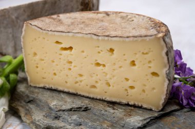 Peynir koleksiyonu, olgun inek peyniri, Fransa 'dan gelen mantarlı tommette de savoie, Alp dağlarında yapılan peynir.