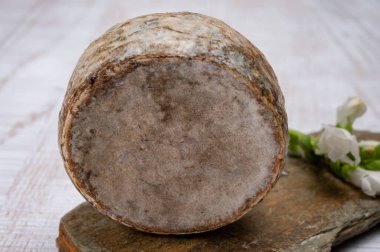 Peynir koleksiyonu, olgun inek peyniri, Fransa 'dan gelen mantarlı tommette de savoie, Alp dağlarında yapılan peynir.