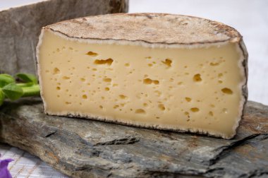 Peynir koleksiyonu, olgun inek peyniri, Fransa 'dan gelen mantarlı tommette de savoie, Alp dağlarında yapılan peynir.