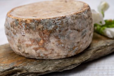 Peynir koleksiyonu, olgun inek peyniri, Fransa 'dan gelen mantarlı tommette de savoie, Alp dağlarında yapılan peynir.