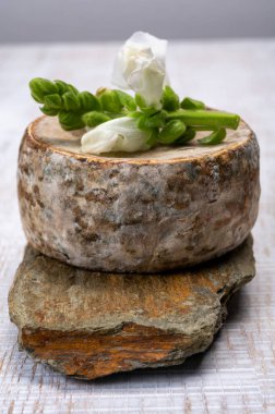 Peynir koleksiyonu, olgun inek peyniri, Fransa 'dan gelen mantarlı tommette de savoie, Alp dağlarında yapılan peynir.