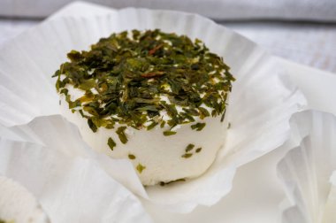 Peynir koleksiyonu, taze beyaz keçi peyniri çeşitleri aromatik otlarla kaplanmış Fransız peynirleri.