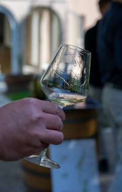 Şarap, şarap, şarap turizmi Fransa 'nın Burgundy Cote de Beaune şarap bölgesine şarap tadında pahalı bir şarap tatmak.