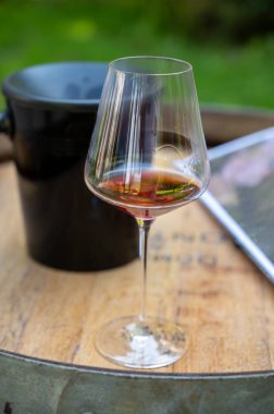 Pahalı kırmızı şarap tatma Pinot noir üzümleri, şarap turizmi Burgundy Cote de Nuits şarap bölgesine, Fransa