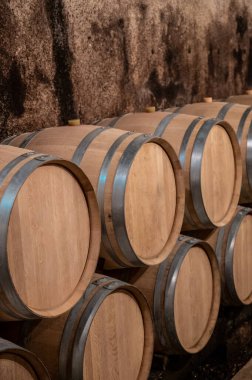 Keeping for years of dry red wine in new oak barrels in caves in Burgundy, made from pinot noir grape, expensive French wine production clipart
