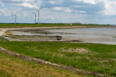 Zeeland 'in deniz kıyısındaki panoramik manzara, alçak gelgit sırasında, Hollanda' nın doğası