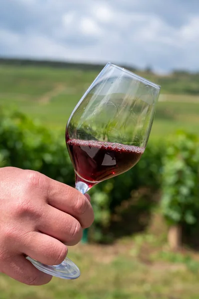 Provning Bourgogne Rött Vin Från Grand Cru Pinot Noir Vingårdar — Stockfoto