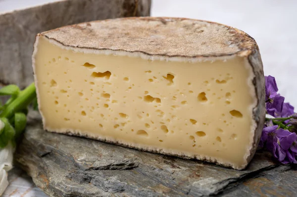 Peynir koleksiyonu, olgun inek peyniri, Fransa 'dan gelen mantarlı tommette de savoie, Alp dağlarında yapılan peynir.